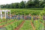 XC del Montello Giusti Wine